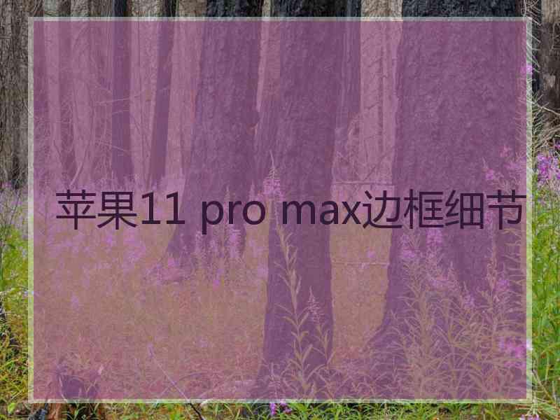 苹果11 pro max边框细节