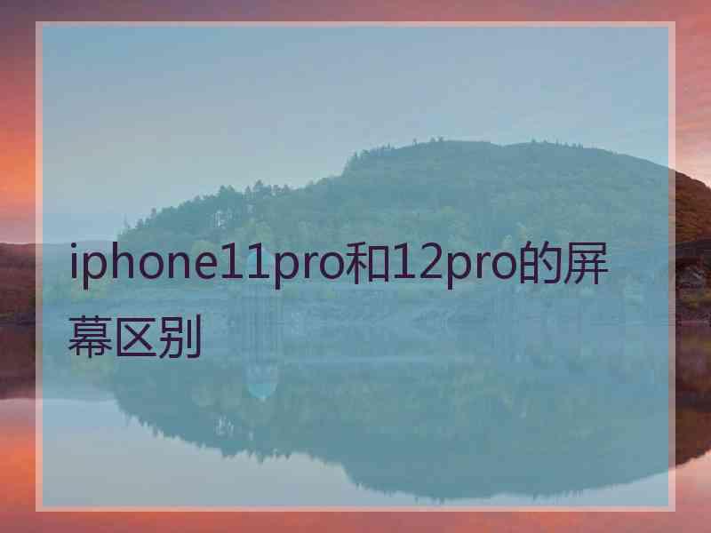 iphone11pro和12pro的屏幕区别