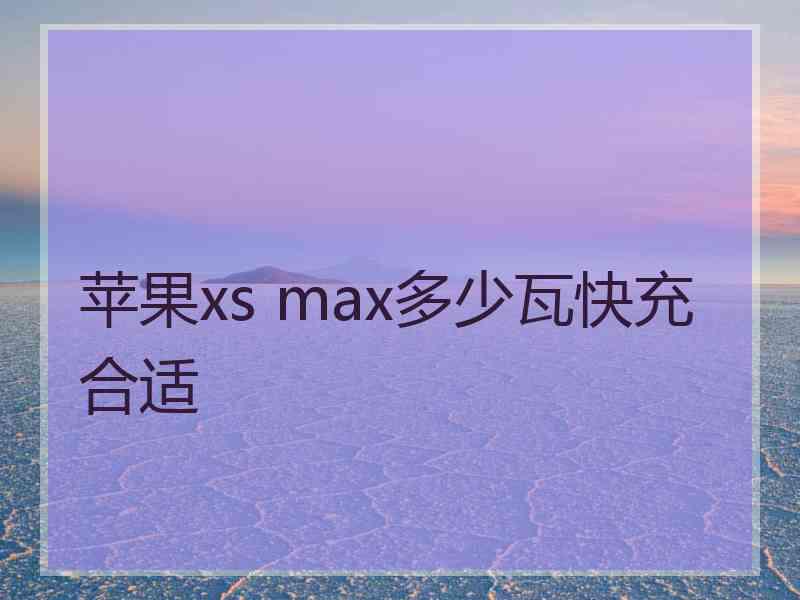 苹果xs max多少瓦快充合适