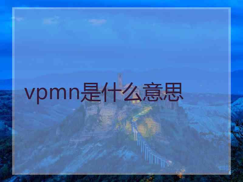 vpmn是什么意思