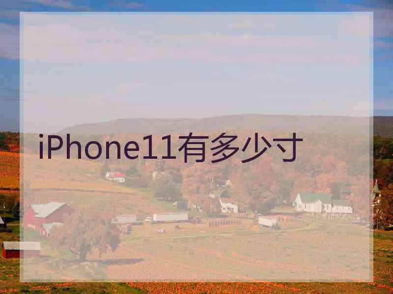 iPhone11有多少寸