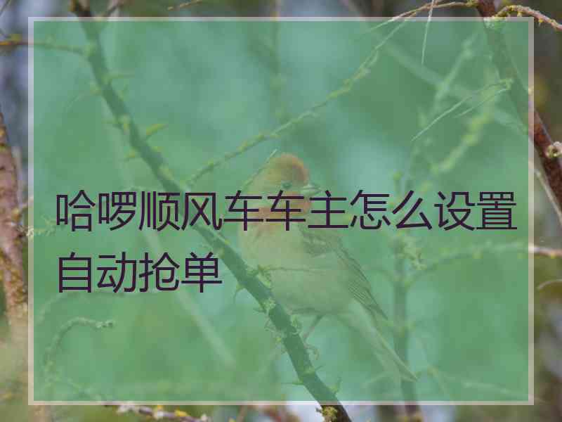 哈啰顺风车车主怎么设置自动抢单