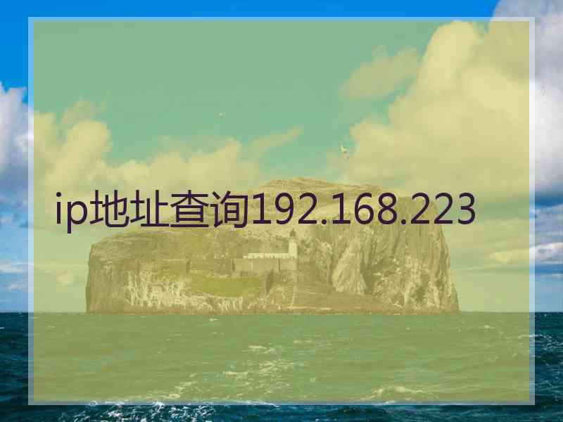 ip地址查询192.168.223