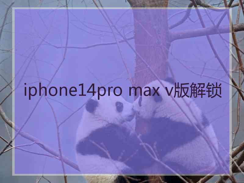 iphone14pro max v版解锁