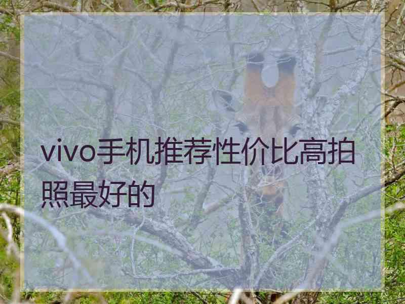 vivo手机推荐性价比高拍照最好的