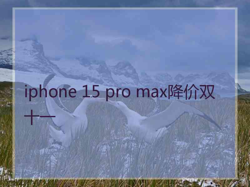 iphone 15 pro max降价双十一