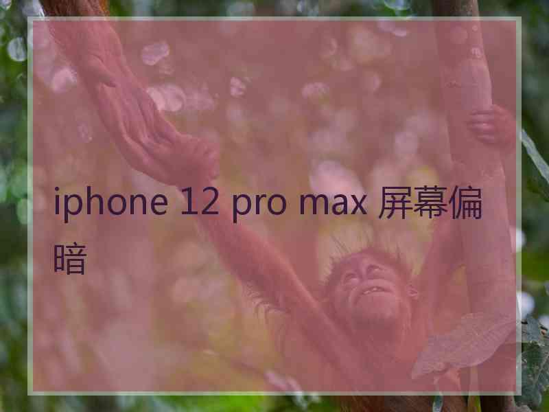 iphone 12 pro max 屏幕偏暗