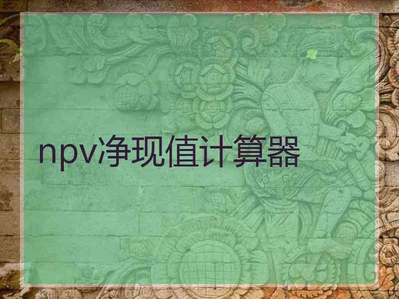 npv净现值计算器