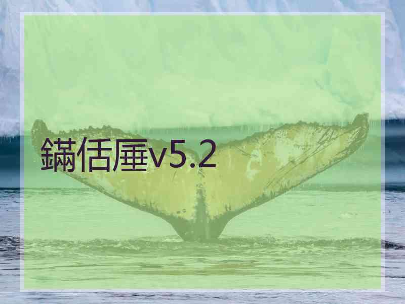 鏋佸厜v5.2