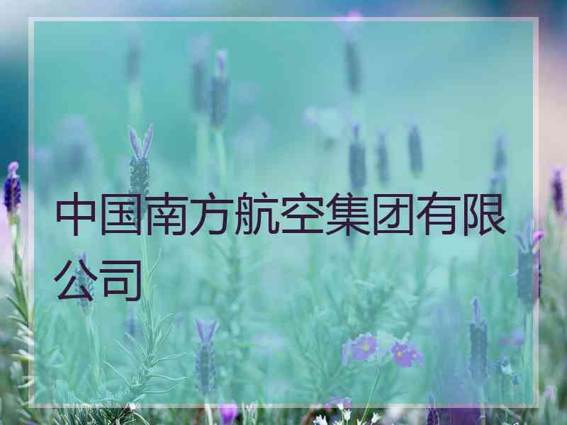 中国南方航空集团有限公司