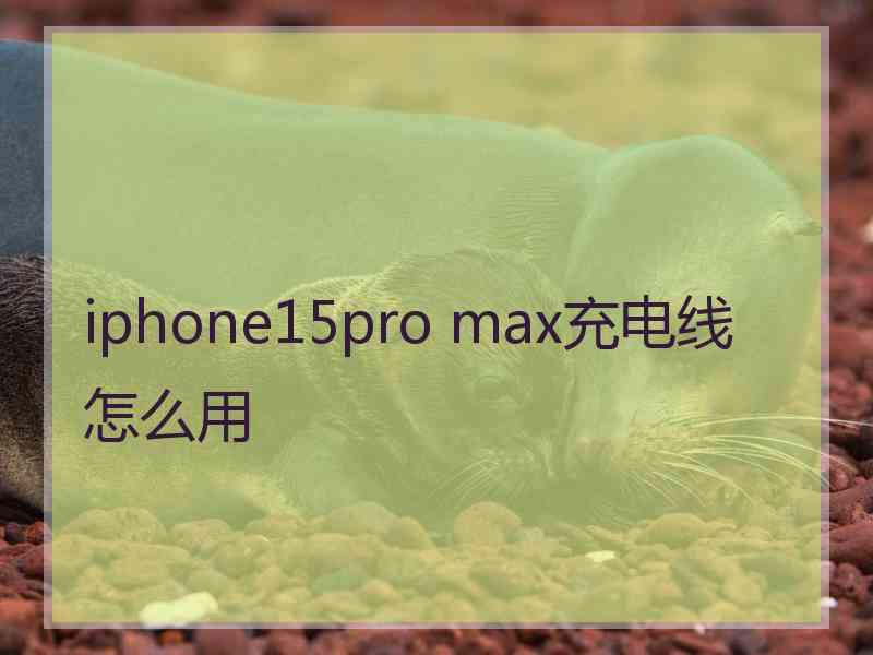 iphone15pro max充电线怎么用