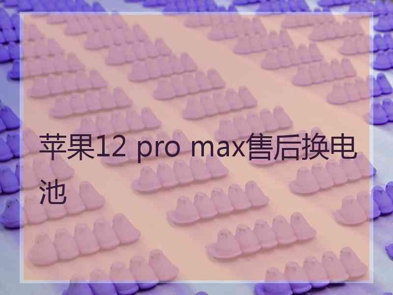 苹果12 pro max售后换电池