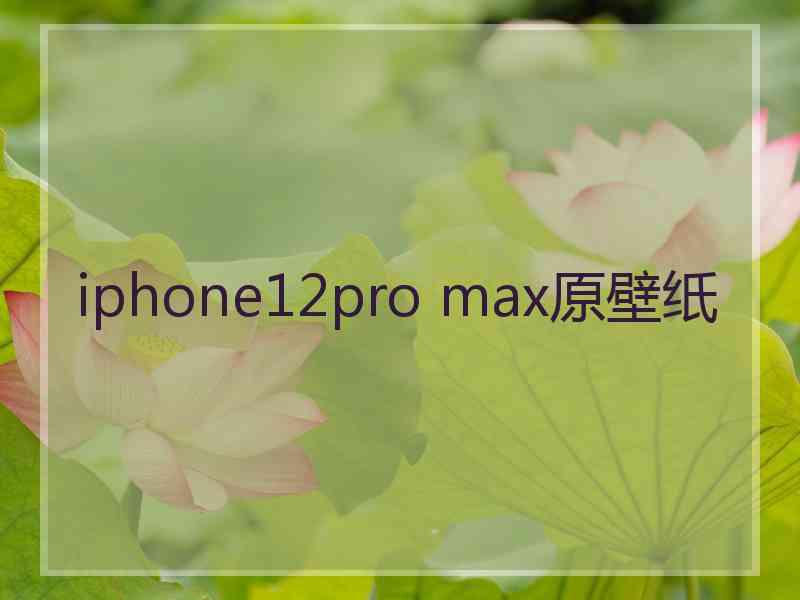 iphone12pro max原壁纸