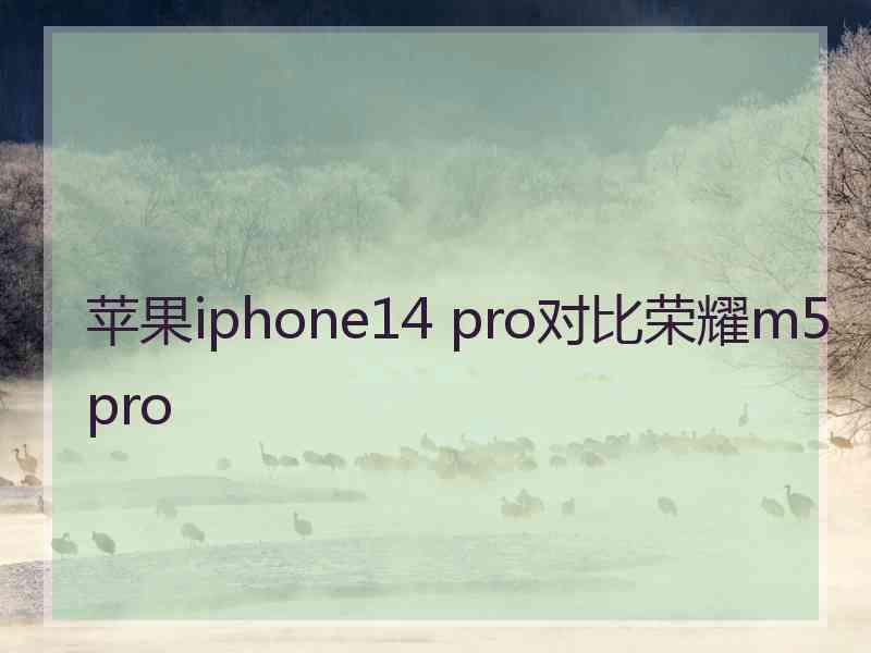 苹果iphone14 pro对比荣耀m5pro