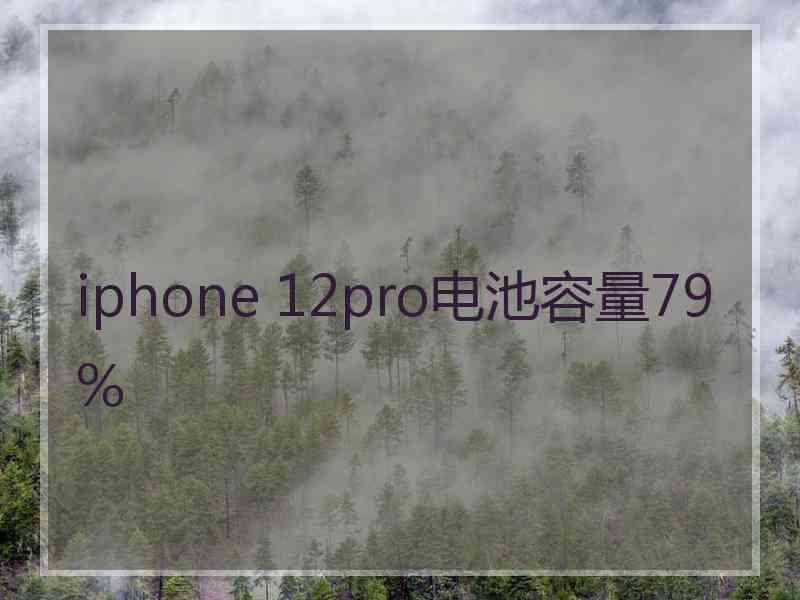 iphone 12pro电池容量79%