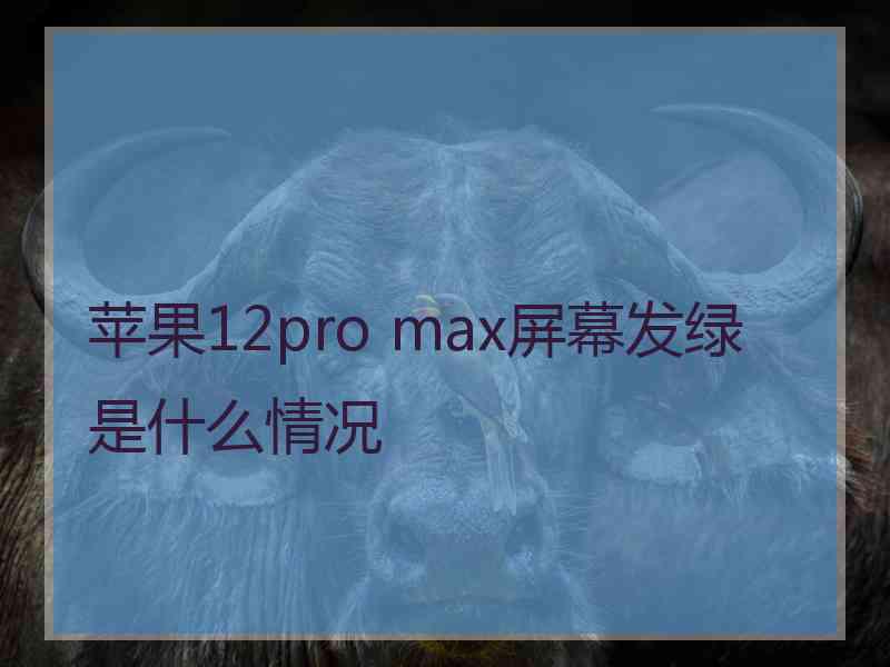 苹果12pro max屏幕发绿是什么情况