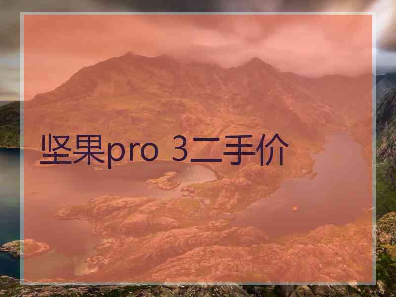 坚果pro 3二手价