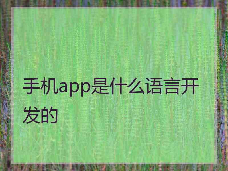 手机app是什么语言开发的