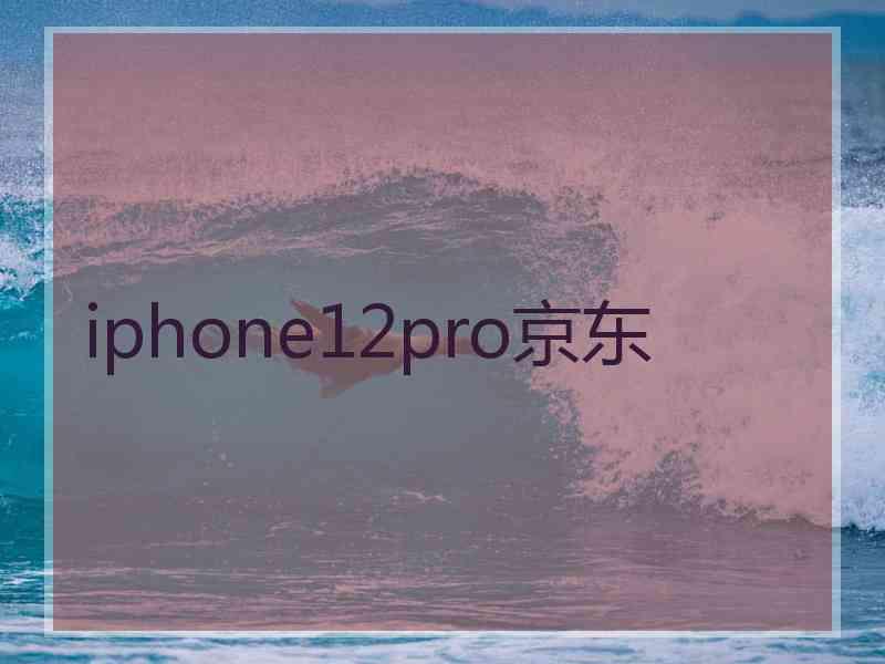 iphone12pro京东