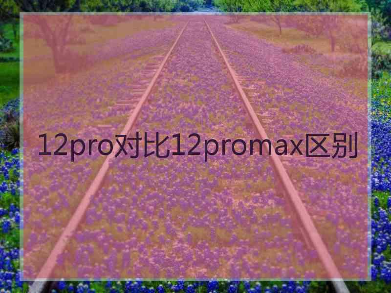 12pro对比12promax区别