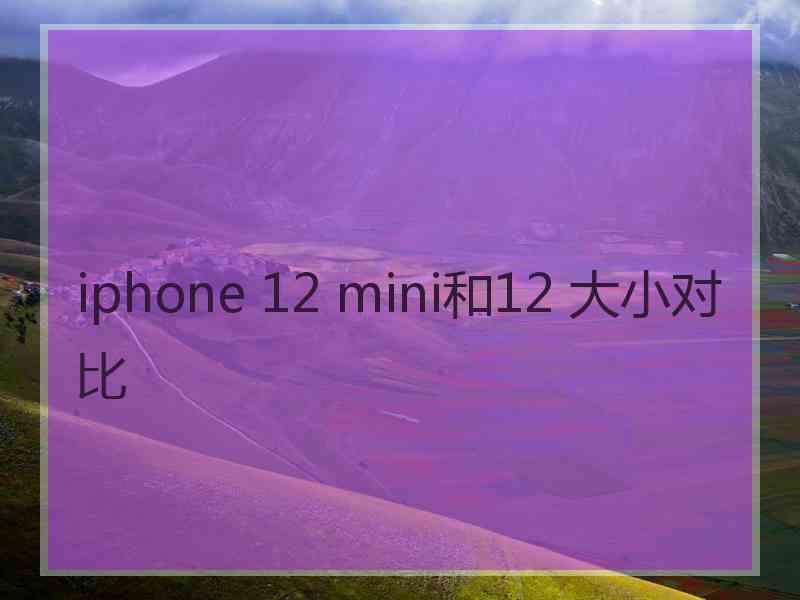 iphone 12 mini和12 大小对比