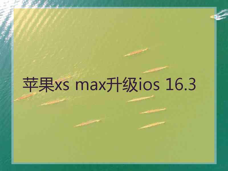 苹果xs max升级ios 16.3