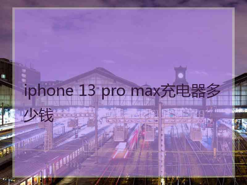 iphone 13 pro max充电器多少钱