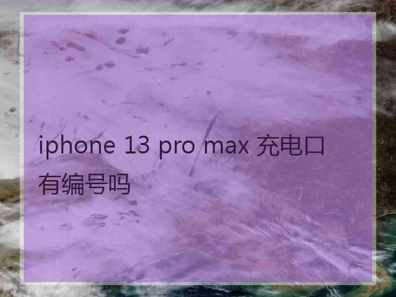 iphone 13 pro max 充电口有编号吗