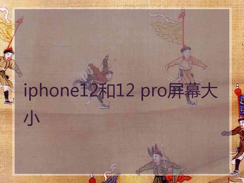 iphone12和12 pro屏幕大小