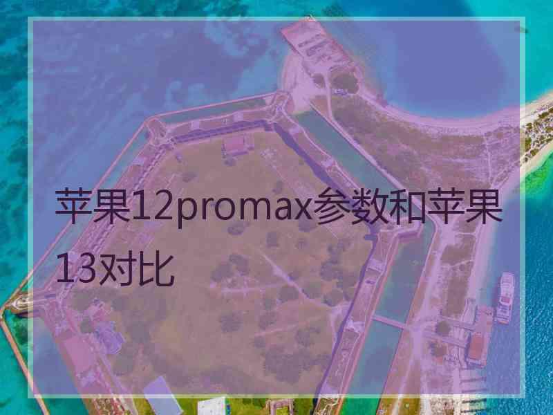 苹果12promax参数和苹果13对比