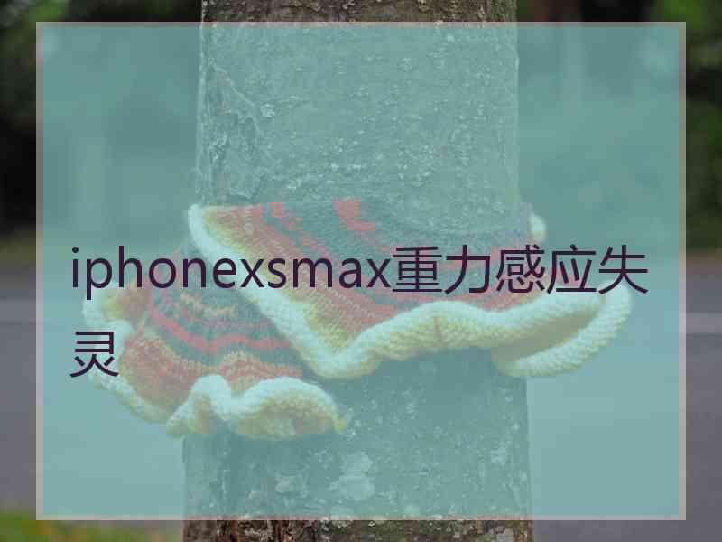 iphonexsmax重力感应失灵