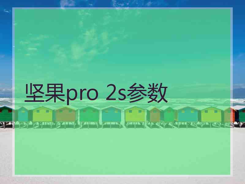 坚果pro 2s参数