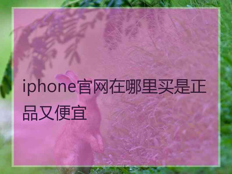 iphone官网在哪里买是正品又便宜