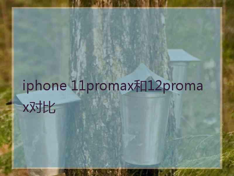 iphone 11promax和12promax对比