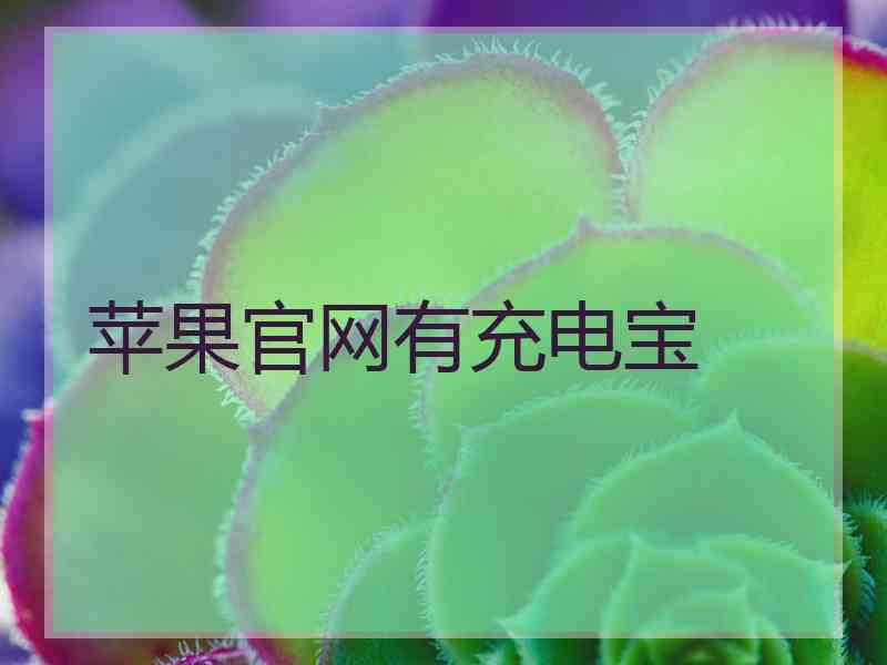 苹果官网有充电宝