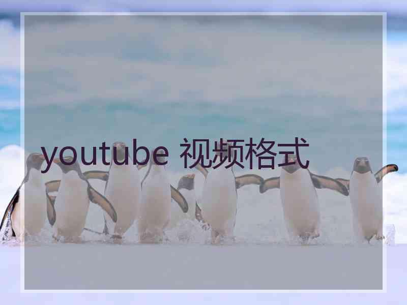 youtube 视频格式