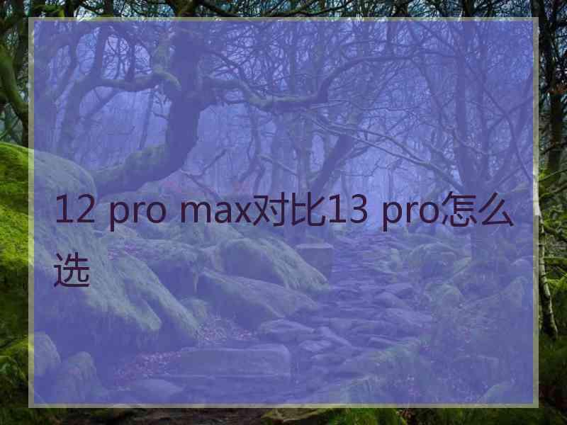 12 pro max对比13 pro怎么选