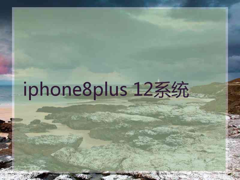 iphone8plus 12系统