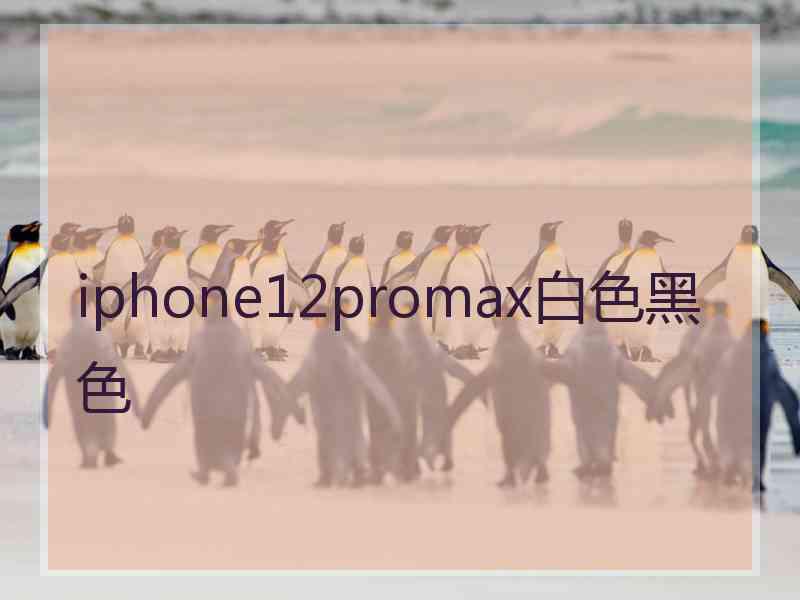 iphone12promax白色黑色