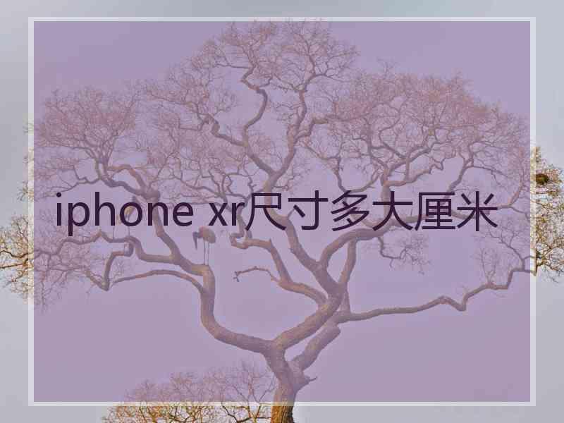 iphone xr尺寸多大厘米