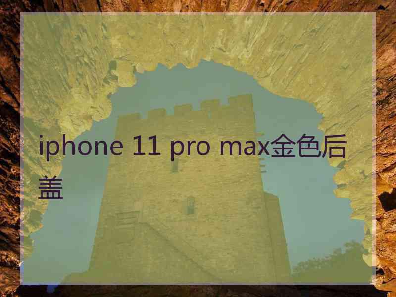 iphone 11 pro max金色后盖