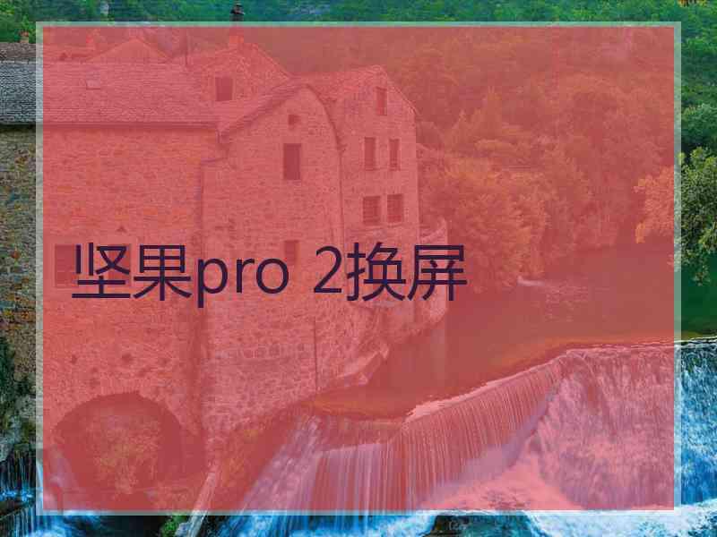 坚果pro 2换屏