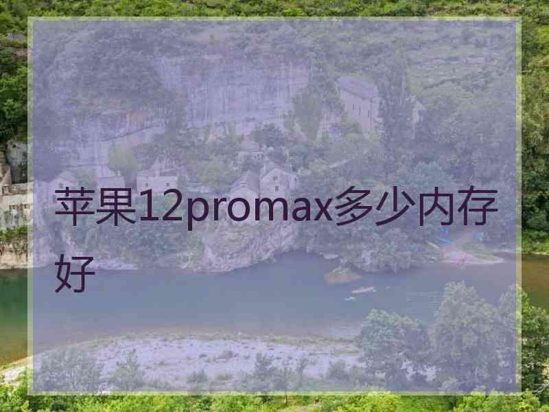 苹果12promax多少内存好