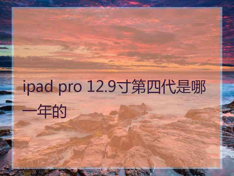 ipad pro 12.9寸第四代是哪一年的