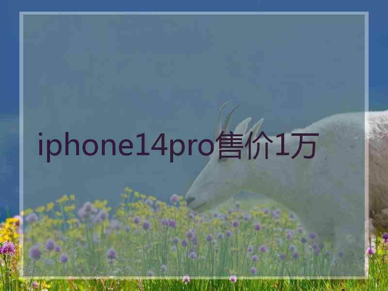 iphone14pro售价1万