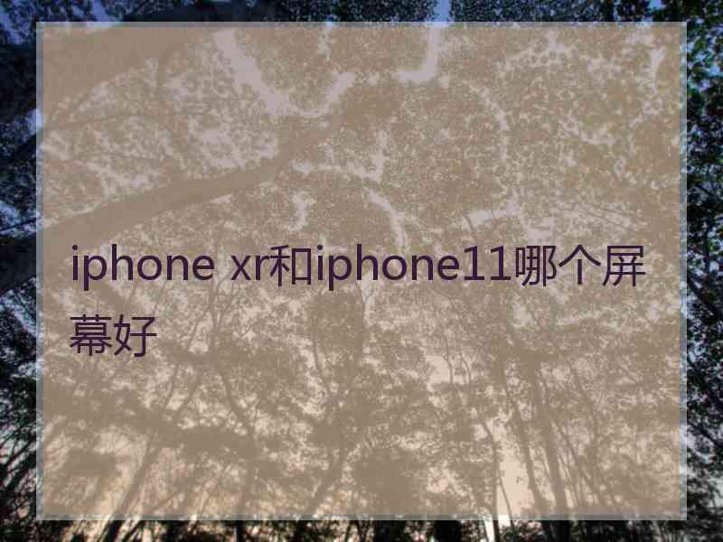 iphone xr和iphone11哪个屏幕好