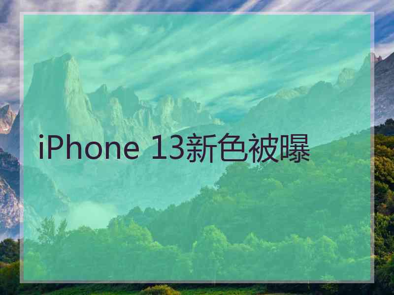 iPhone 13新色被曝