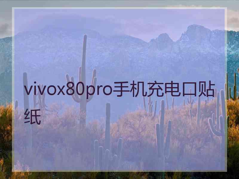 vivox80pro手机充电口贴纸