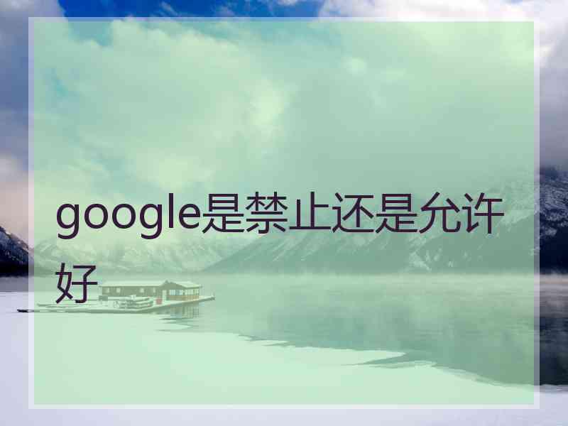 google是禁止还是允许好