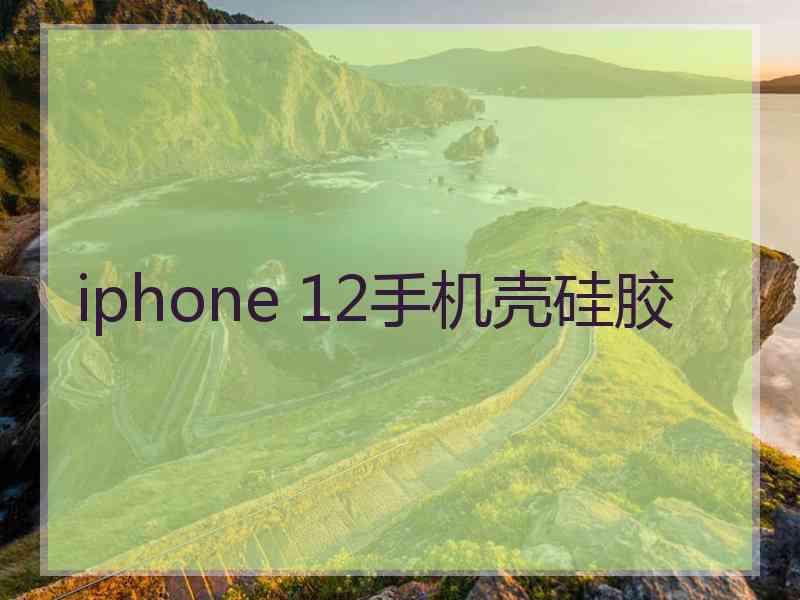 iphone 12手机壳硅胶